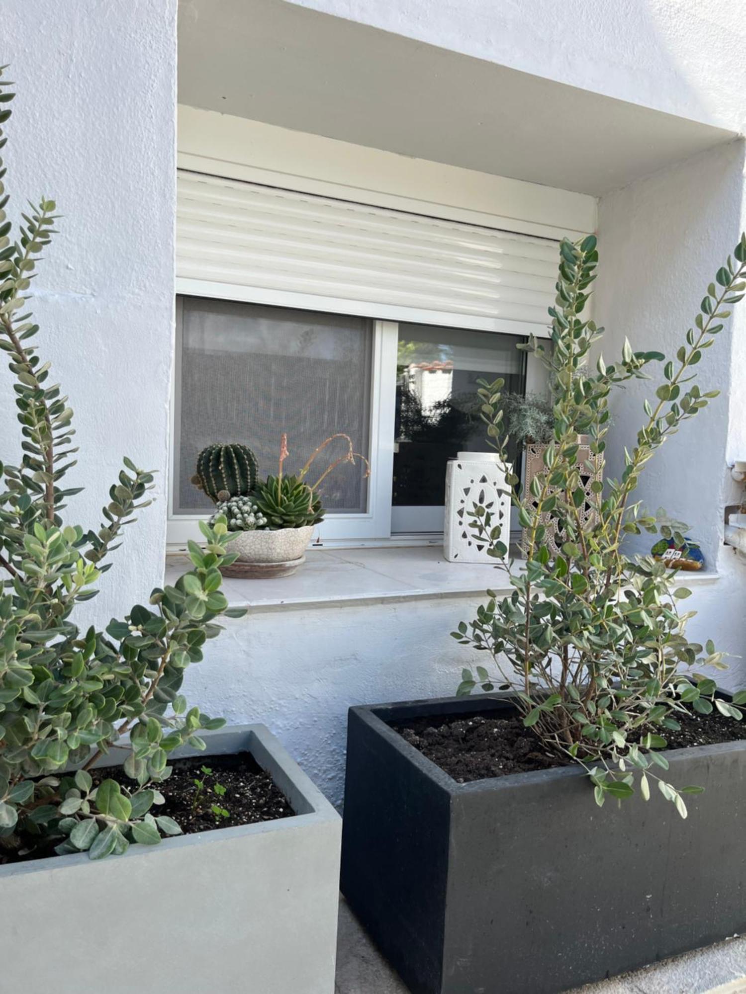 Apartment Meraki I *
