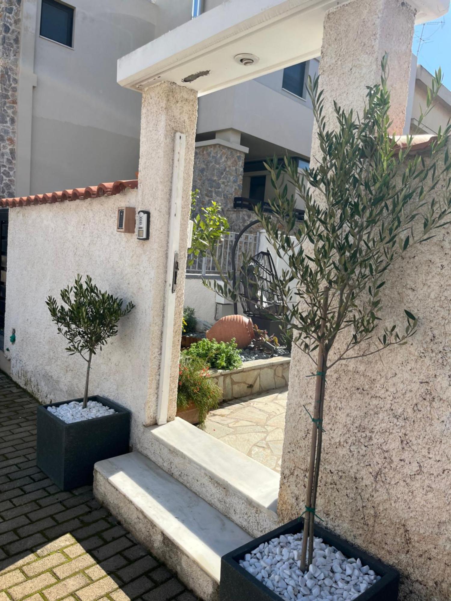 Meraki I Apartment *